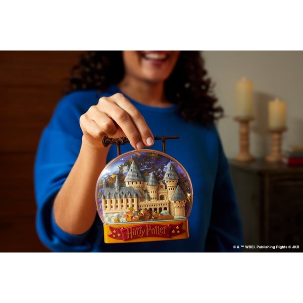 Polly Pocket & Harry Potter Set - Walmart Business Supplies