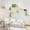 16-Piece, variant on Dextrus Floor-to-Ceiling Cat Tower Wall Shelf Set with Runway, 2 Sisal Posts & Houses – Solid Pine Wood for Large Cats, Space-Saving Wall-Mounted Climbing System