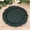 Hunter Green, variant on Balsa Circle 20 Hunter Green Round 10" Plastic Dinner Plates Reef Design Disposable Tableware