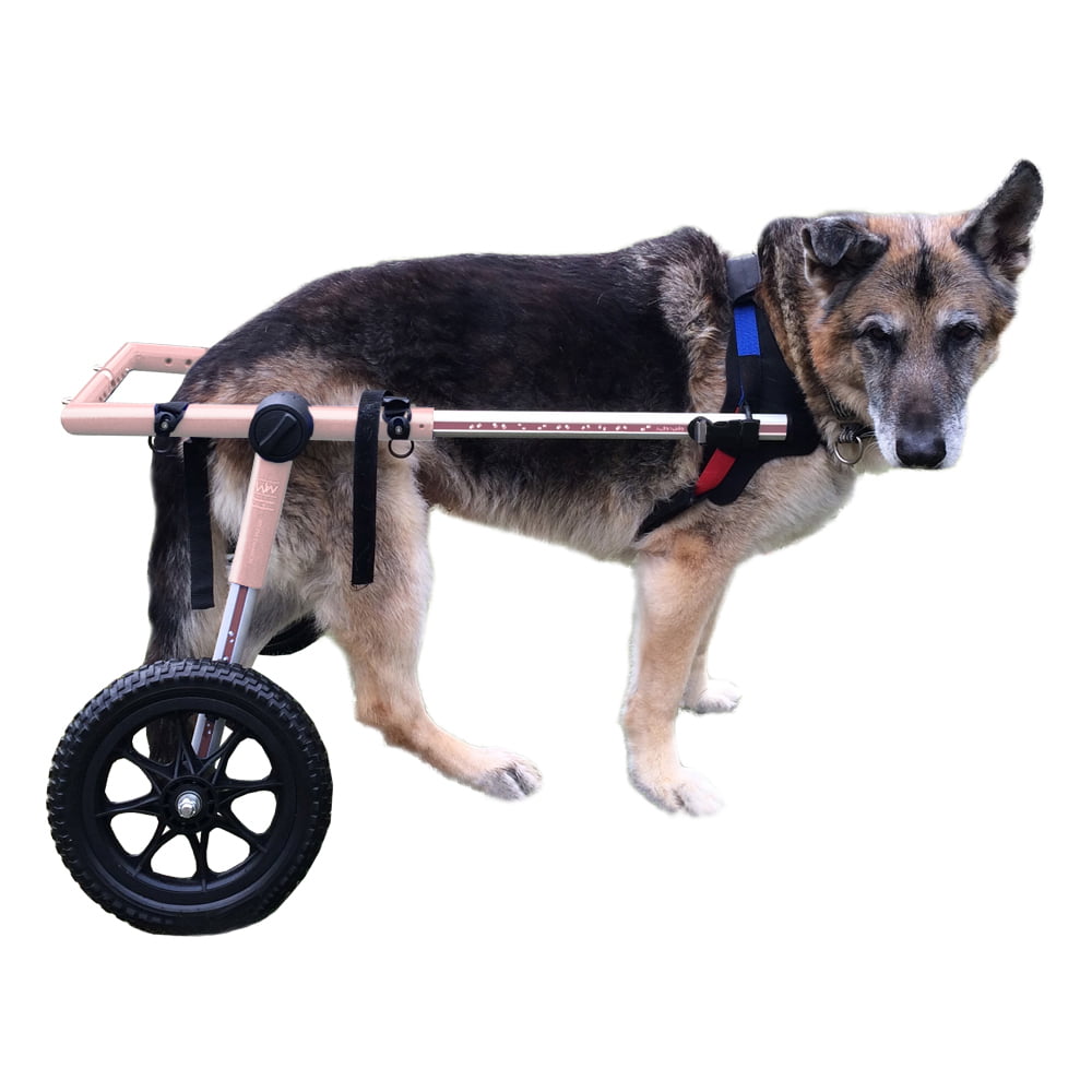 Dog Wheelchair For Large Dogs 70180 lbs Veterinarian