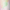 Cotton Candy Tie Dye, variant on Simple Modern 40 fl oz Insulated Stainless Steel Trek Tumbler with Straw Lid | Forest