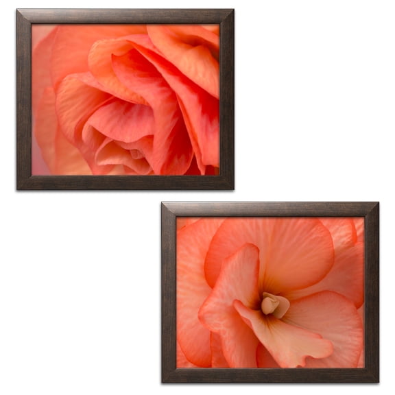 Gango Home Decor Coral Blooming Roses Photographic Art; Two 14x11in Brown Frame Prints
