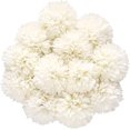 thumbnail image 1 of Bolsa con cabeza de flor de seda de hortensia blanca, 12 piezas de hortensia de imitación para boda, fiesta en casa, tienda, decoración para fiesta de bienvenida de bebé, 1 of 7