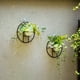 thumbnail image 3 of Juego de 2 macetas colgantes de pared para interiores, decoración geométrica de pared para plantas artificiales, contenedores de flores suculentas, mini cactus, 3 of 5