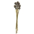 thumbnail image 1 of Vickerman H1PLC900-1 18-24 in. Frosted White Platy Cone Reed Stems, 1 of 1