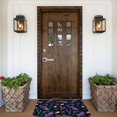 thumbnail image 4 of Kdxio Colorful Vintage Cactuses,16" x 24", Non-Slip Front Door Mats,Outdoor Welcome Mat Washable, 4 of 9