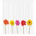 thumbnail image 2 of Ambesonne Floral Design Shower Curtain, Gerbera Flowers Print, 69"Wx70"L, Dark Pink Burnt Orange, 2 of 4