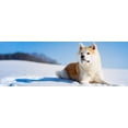 thumbnail image 2 of Noah Jigsaw Puzzle Akita Inu, panorama Panorama 1000 Pieces, 2 of 2