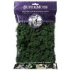 SuperMoss Preserved Spanish Moss - Grass Green
