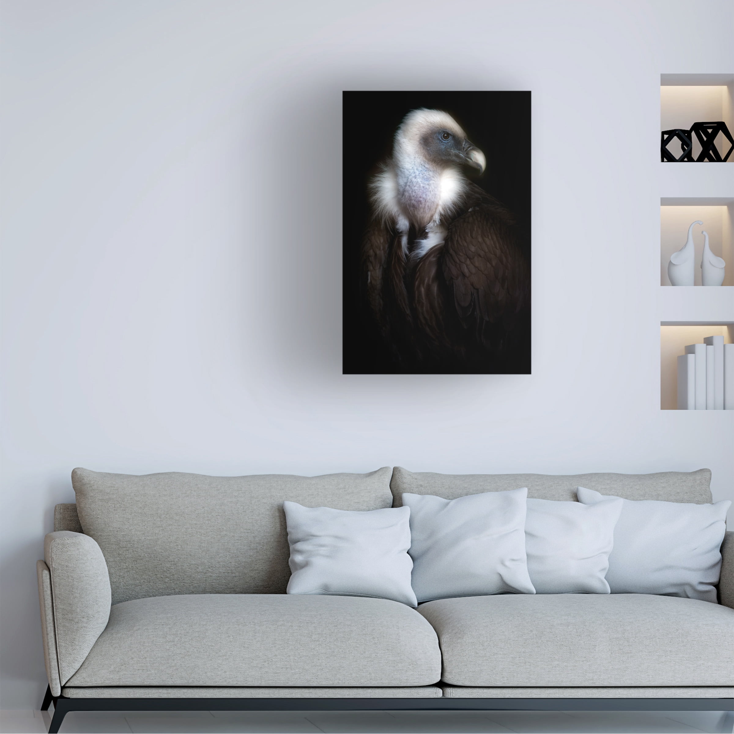 Santiago Pascual Buye 'Vulture Portrait Ii' Canvas Art