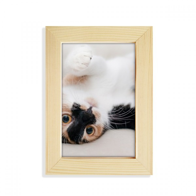 Kitty Cat Stripes Relax Sleep Animal Desktop Display Photo Frame Picture Art Painting 5x7 inch