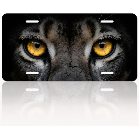 Animal Eyes License Plate, Aluminum Decorative Personalized License Plate, Novelty Vanity Tag Cover with 4 Holes Car Decor Accessory (Dragon)