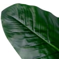 thumbnail image 5 of Northlight Potted Artificial Bird of Paradise Plant - 43", 5 of 9