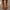 Brown# boots for women, variant on POROPL Wide Mid-Calf Boots For Women Slip-on Flat Chelsea Boots Women Ladies Fall Slip On Shoes Women Boots For Reduced Price