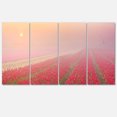 thumbnail image 2 of Lever de Soleil sur Rangées de Tulipes - Impression sur Toile Paysage, 2 of 3