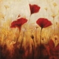 thumbnail image 2 of Carter, Natalie 15x15 Gold Ornate Wood Framed with Double Matting Museum Art Print Titled - Poppies and Daisies I, 2 of 4