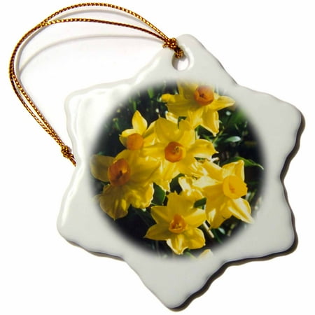 Daffodil Ornament - 3dRose Daffodils - Snowflake Ornament, 3-inch