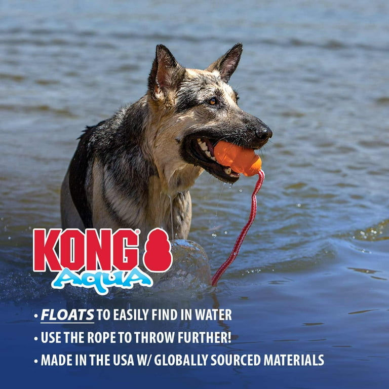 Kong aqua dog toy large hot sale