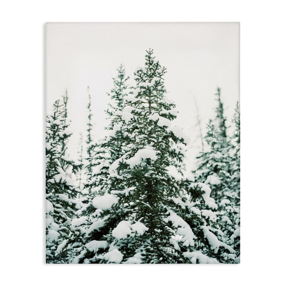 Stupell Industries Farmhouse Woodland Fir with Snow Canvas Art, 16 x 20, by Justine Milton