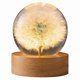 thumbnail image 1 of Floral Crystal Globe Lamp with Dandelion Design for Women, Moms, and Kids Gift Ideal декорative Ornament, 1 of 5