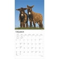thumbnail image 3 of BrownTrout, Donkeys 2025 Wall Calendar, 3 of 9