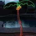 thumbnail image 4 of Ming's Mark 8080121 Green Long Life 120V 5' LED Coconut Palm Tree RV Rope Light, 4 of 5