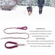 thumbnail image 3 of Correa Para Perro Elegante, Cuerda De Tracción Para Perros De Nailon Multiusos Ajustable XL Para Caminar En El Jardín Para Perros De Gran Tamaño, 3 of 7