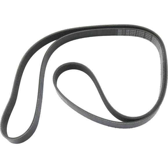 Dodge Ram 1500 Serpentine Belt