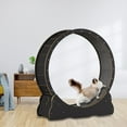 thumbnail image 4 of lionlar Cat Exercise Wheel with Locking Device Pet Toy for Running, Scratching, Climbing Size S, 4 of 9