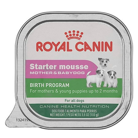 Royal Canin® Canine Health Nutrition™ Starter Mousse Mother & BabyDog Food 3.5 oz (pack of (Best Nutrition Food For Hair)