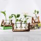 thumbnail image 5 of Florero Con Marco De Madera Vintage, Terrario De Plantas Con Soporte De Madera, Florero De Vidrio, Macetero De Escritorio Para Decoración Del Hogar Y La Oficina, 5 of 8