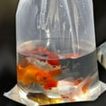 thumbnail image 3 of OATIPHO  Thicken Clear Bags for Live Fish Transport and Storage 50Pcs, 3 of 5