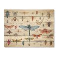 thumbnail image 3 of Designart "Wondrous Tiny Insects I" Animals Print on Natural Pine Wood, 3 of 5