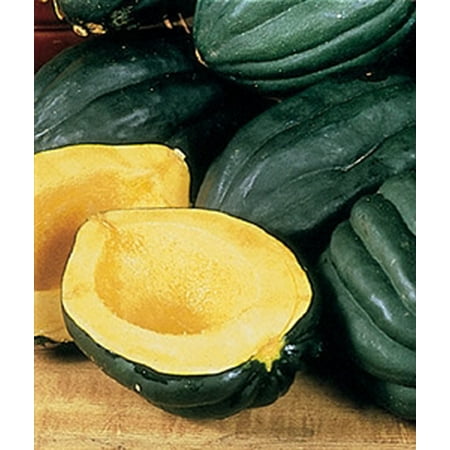 Squash Table Queen or Acorn - Packet (Best Way To Store Acorn Squash)