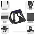 thumbnail image 6 of Lsque Mathematical Symbols Dog Harness, No-Pull Pet Harness with 2 Leash Clips, Adjustable Soft Padded Dog Vest with Easy Control Handle for Large Dogs-Medium, 6 of 9
