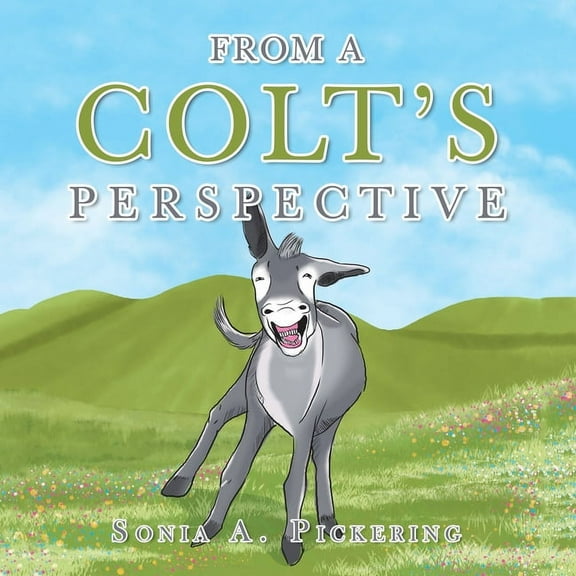 From a Colt's Perspective (Paperback)