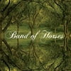 Band of Horses - Everything All The Time - Vinyl
