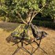 thumbnail image 5 of Mecedora Plegable Para Exteriores, Reclinable Para Camper Hiker, Mecedora De Ocio Con Inclinación Automática Multifuncional Yuarrent OD015963-02, 5 of 6