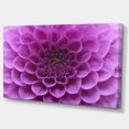 thumbnail image 2 of Grande Fleur et Pétales Violet Clair - Impression sur Toile Florale, 2 of 3