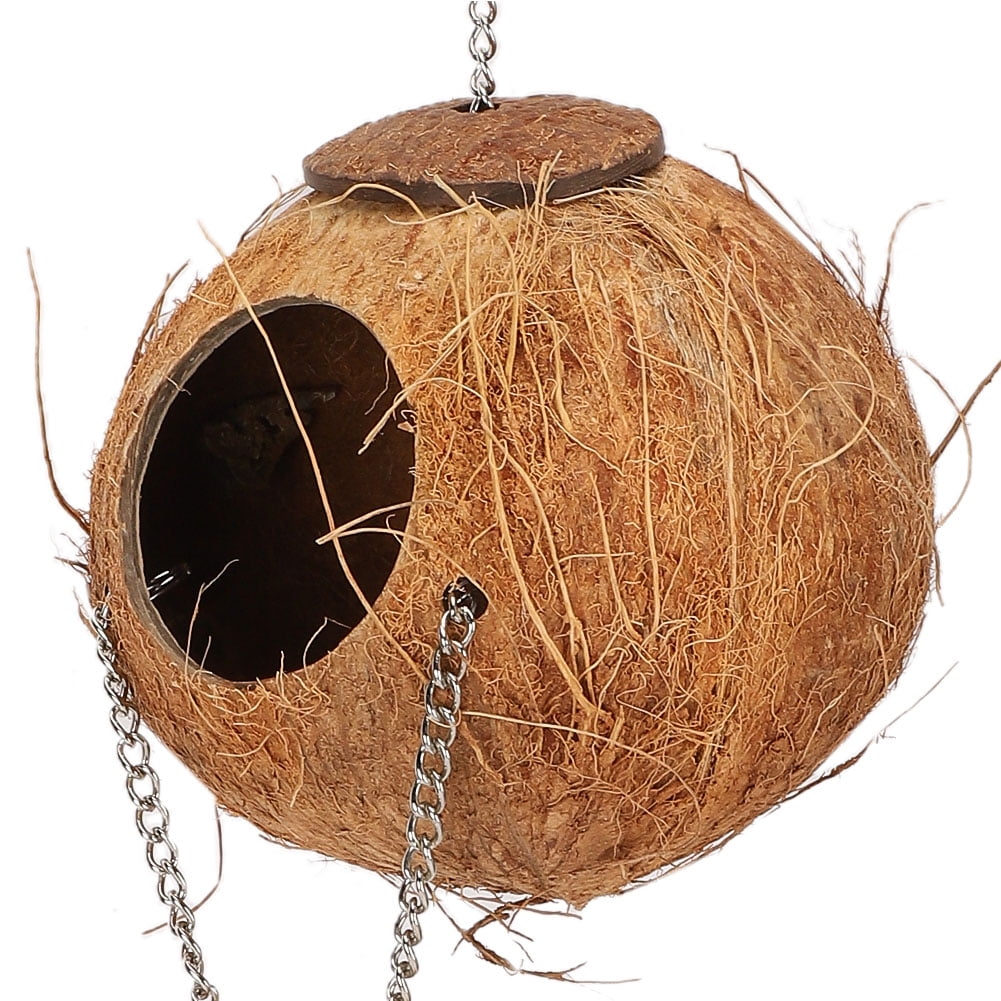 Nid D'oiseau En Noix De Coco Naturel - Avec Branche Et Décorations - 25 X 12 Cm - Pour Perruches, Petits Oiseaux - Décoration Cage Et Extérieur