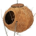 thumbnail image 4 of Nido de loro de cáscara de coco Bling Bling Nido de pájaros con escalera, 4 of 8