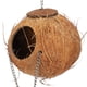 thumbnail image 4 of Cáscara de coco, loro, Nido de Pájaro, columpio, cama, cueva, juguetes con escalera, casa feliz Natural, suministro para mascotas, 4 of 8