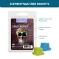 thumbnail image 3 of Calavera De Azucar (Sugar Skull) Scented Wax Melts, ScentSationals, 2.5 oz (1-Pack), 3 of 11
