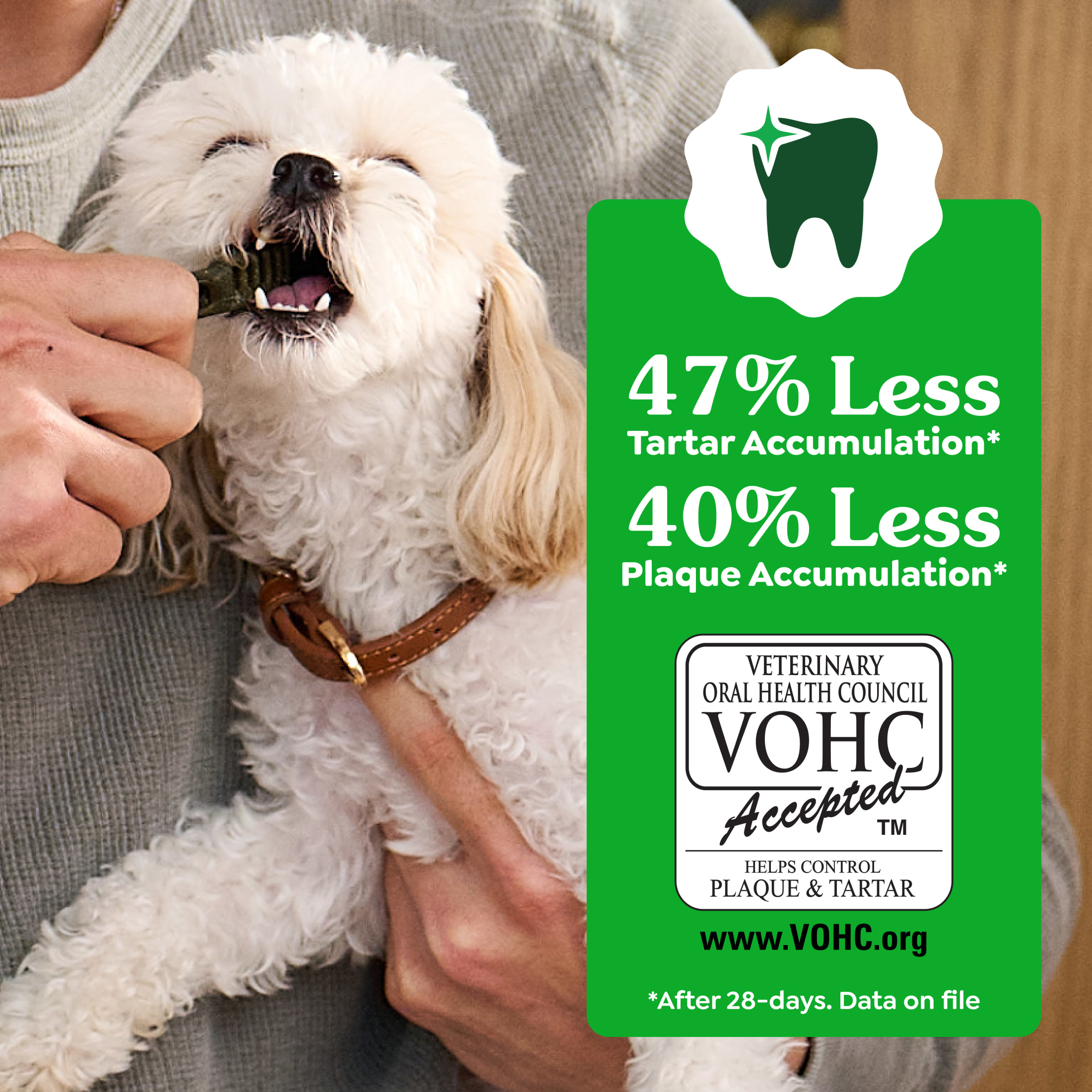 Greenies Original Flavor Regular Dental Dog Treats, 24 oz Pack photo 4