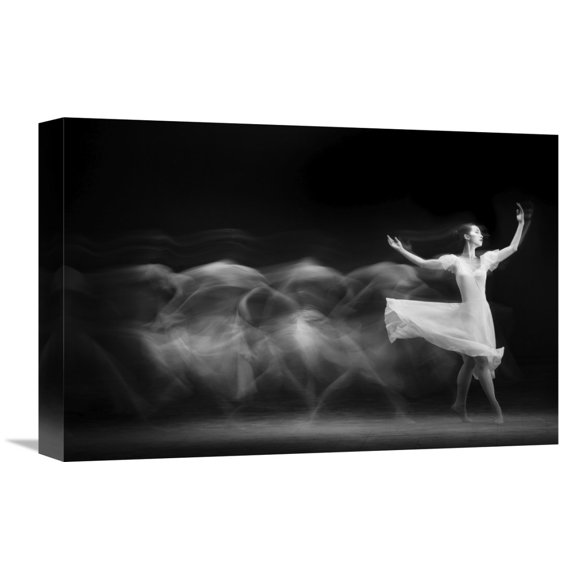 Global Gallery Yudhistira Yogasara,'S L O W' Stretched Canvas Artwork