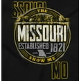 thumbnail image 2 of Missouri Distressed Block Letters MO Unisex Plus Fleece Graphic Hoodie Brisco Brands 2X, 2 of 5