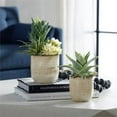 thumbnail image 2 of Uttermost Seaside Succulents Coastal Ceramic Flower Pot in Tan (Set of 2), 2 of 5