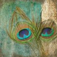 thumbnail image 3 of Greene, Taylor 12x12 Black Modern Framed Museum Art Print Titled - Peacock 2, 3 of 5