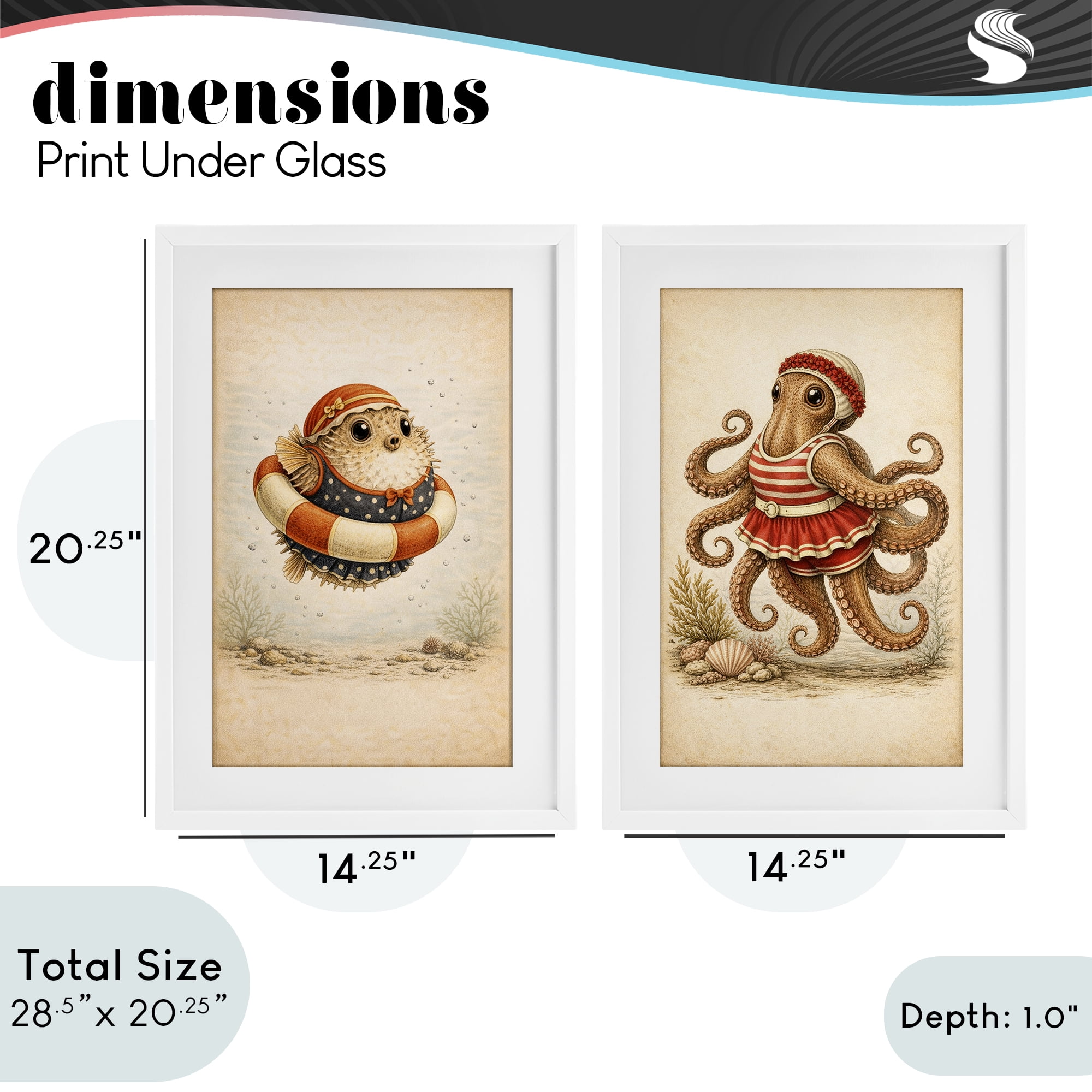 Stupell Industries Vintage Maritime Bathing Creatures 2 Piece White Framed Print Under Glass Set, design by Grotto Studios