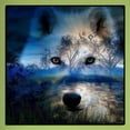 thumbnail image 3 of 5D Bricolaje Taladro Diamante Pintura Animal Cruz Puntada Bordado Kits, 3 of 9